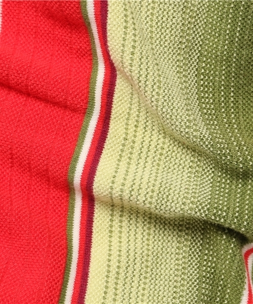 CAL O LINE×Ray BEAMS / 別注 メキシカン パーカー Ray BEAMS（レイビームス）の「CAL O LINE×Ray BEAMS / 別注