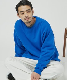FRUIT OF THE LOOM / フルーツオブザルーム クルーネック プルオーバースウェット