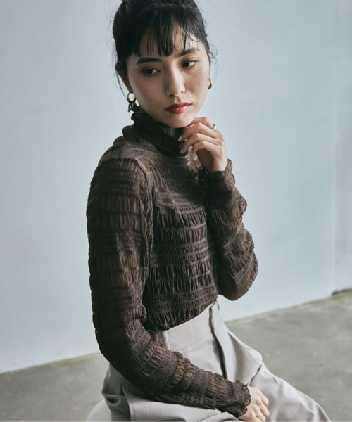 ECRIRE(エクリール)の「ランダムシャーリングシースルーカットソー(Tシャツ/カットソー・レディース・ブラウン/アイボリー/オフホワイト/ブラック・M)」の15枚目の写真