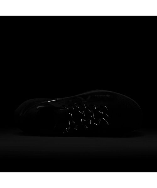 NIKE（ナイキ）の「ナイキ ペガサス トレイル 4 GORE-TEX メンズ 防水 トレイル ランニングシューズ / Nike Pegasus Trail 4 GORE-TEX Men's Waterproof Trail Running Shoes＜22.5-30cm 展開＞（スニーカー・メンズ・ブラック/クリーム/ブラック系その他2・27.5/27/26.5/28/26/25/28.5/25.5/24.5/29/30/29.5/24/22.5/23）」の11枚目の写真