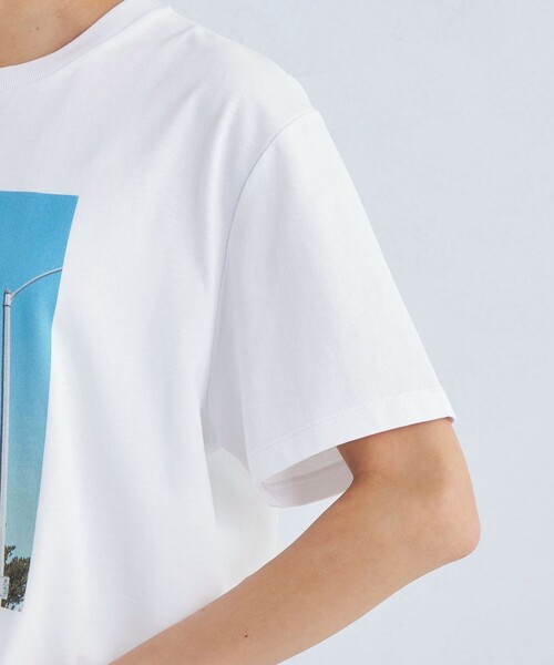 green label relaxing(グリーンレーベルリラクシング)の「フォト プリント Tシャツ(Tシャツ/カットソー・レディース・その他2/その他1・FREE)」の11枚目の写真