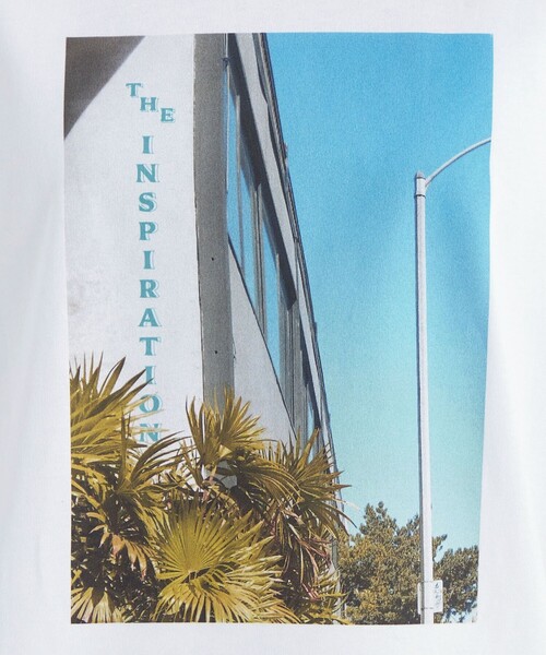 green label relaxing(グリーンレーベルリラクシング)の「フォト プリント Tシャツ(Tシャツ/カットソー・レディース・その他2/その他1・FREE)」の13枚目の写真