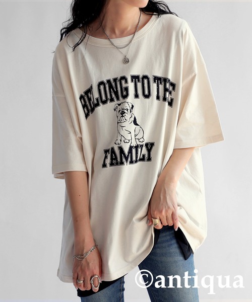 セール】ブルドッグロゴTシャツ（Tシャツ/カットソー）｜antiqua