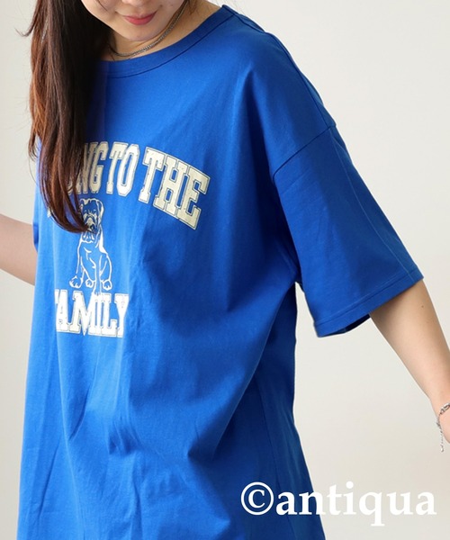 antiqua（アンティカ）の「ブルドッグロゴTシャツ（Tシャツ/カットソー・レディース・スミクロ/ブルー/ブラック/ホワイト・P/R）」の16枚目の写真