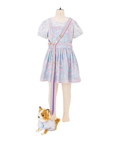 POPPY KATE | ソフトハーネス(犬用 / Lサイズ)（ペットウェア）｜fafa（フェフェ）