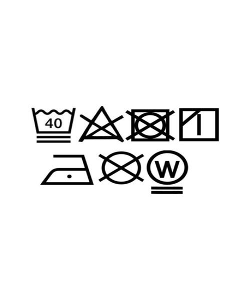 Lee（リー）の「【Lee×grove別注】HALF SLEEVE FLARE T-SHIRTS（Tシャツ/カットソー・レディース・オフホワイト/チャコールグレー/ホワイト系5・01/02）」の12枚目の写真