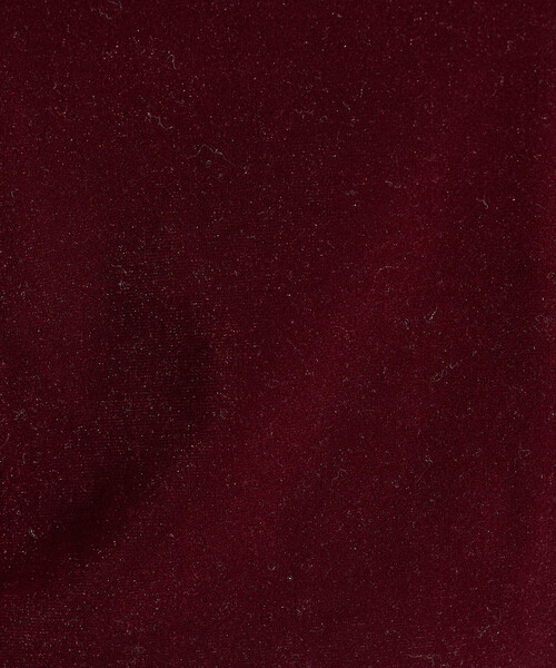 FREAK'S STORE(フリークスストア)の「ベロアジャージ ボートネック トップス(Tシャツ/カットソー・レディース・ブラウン/ワイン/オリーブ/ブラック/ライトグレー・フリ-)」の18枚目の写真