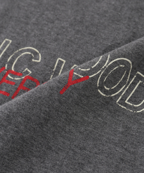 plage（プラージュ）の「organic cotton graphic Tシャツ（Tシャツ/カットソー・レディース・キャメル/ライトグレー・FREE）」の13枚目の写真