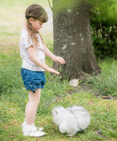 Catherine Cottage（キャサリンコテージ）の「オーガニックコットンTシャツ（Tシャツ/カットソー・キッズ・ネイビー/オフホワイト/カーキ/ライラック・90/100/110/120/130/140）」の11枚目の写真