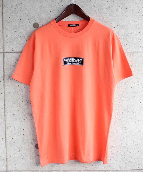 SHISKY(シスキー)の「プリント半袖Tシャツ カットソー(Tシャツ/カットソー・メンズ・モカ/ベージュ系/オフホワイト/オレンジ/ラベンダー/ホワイト系/ベージュ/ブラック/チャコール/ミント・M/L/XL)」の10枚目の写真