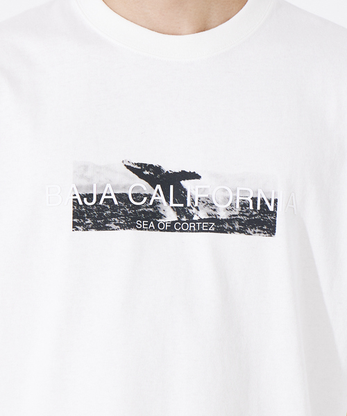 ABAHOUSE（アバハウス）の「バハカリフォルニア モチーフ Tシャツ（Tシャツ/カットソー・メンズ・ホワイト/ホワイト系その他・46/50/48）」の11枚目の写真