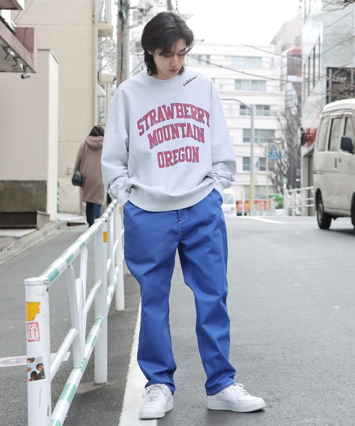 CAL O LINE（キャルオーライン）の「CAL O LINE/キャルオーライン STRAWBERRY MOUNTAIN SWEAT SHIRT スウェット カレッジロゴ アーチ オーバーサイズ（スウェット・メンズ・オフホワイト/ヘザーグレー・L/M/XL）」の15枚目の写真
