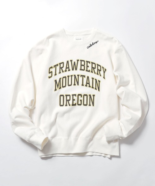 CAL O LINE（キャルオーライン）の「CAL O LINE/キャルオーライン STRAWBERRY MOUNTAIN SWEAT SHIRT スウェット カレッジロゴ アーチ オーバーサイズ（スウェット・メンズ・オフホワイト/ヘザーグレー・L/M/XL）」の18枚目の写真