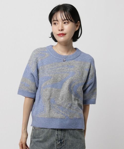 3.3 Field Trip （3.3フィールドトリップ）の「3.3 Field Trip