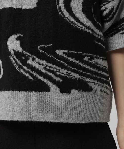 3.3 Field Trip （3.3フィールドトリップ）の「3.3 Field Trip