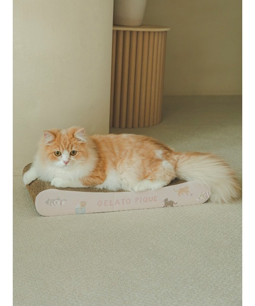 CAT&DOG】ねこ柄つめとぎ（その他ペットグッズ）｜gelato pique