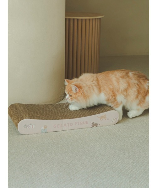 レア柄　ジェラートピケ ムーンキャット柄　上下セット　cat 猫 ツインズキャット ジャガード ブランケット ネイビー｜ジェラートピケ