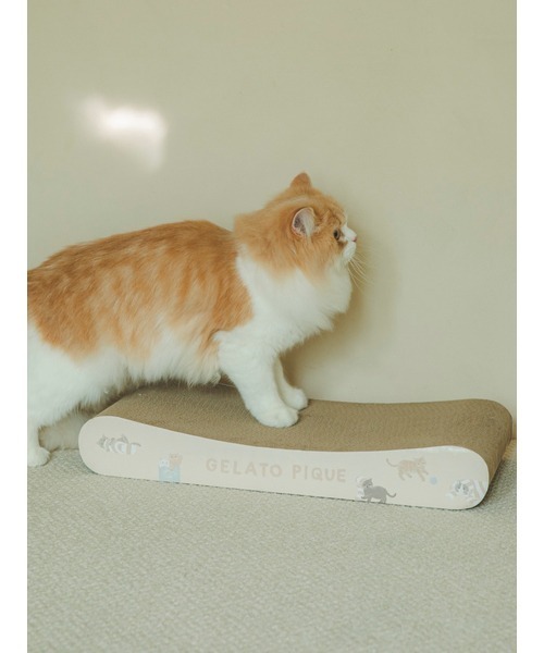 gelato pique(ジェラートピケ)の「【CAT&DOG】ねこ柄つめとぎ(その他ペットグッズ・レディース・ベージュ/ピンク・FREE)」の20枚目の写真