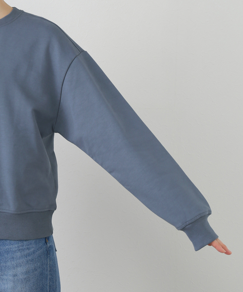 JOINT WORKS(ジョイントワークス)の「Calvin Klein /カルバン クライン MONOLOGO FRENCH TERRY RLXD CREW(Tシャツ/カットソー・レディース・ベージュ/スカイブルー・X-SMALL)」の14枚目の写真