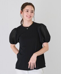 Jayro（ジャイロ）の「シアー袖ブラウス（Tシャツ/カットソー）」