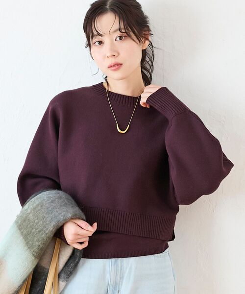 le.coeur blanc(ルクールブラン)の「3WAYレイヤードクルーニット(ニット/セーター・レディース・グレイッシュベージュ/ダークブラウン/キャメル/ネイビー/オフホワイト・38)」の3枚目の写真