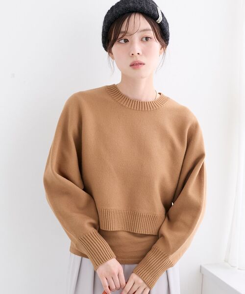 le.coeur blanc(ルクールブラン)の「3WAYレイヤードクルーニット(ニット/セーター・レディース・グレイッシュベージュ/ダークブラウン/キャメル/ネイビー/オフホワイト・38)」の5枚目の写真