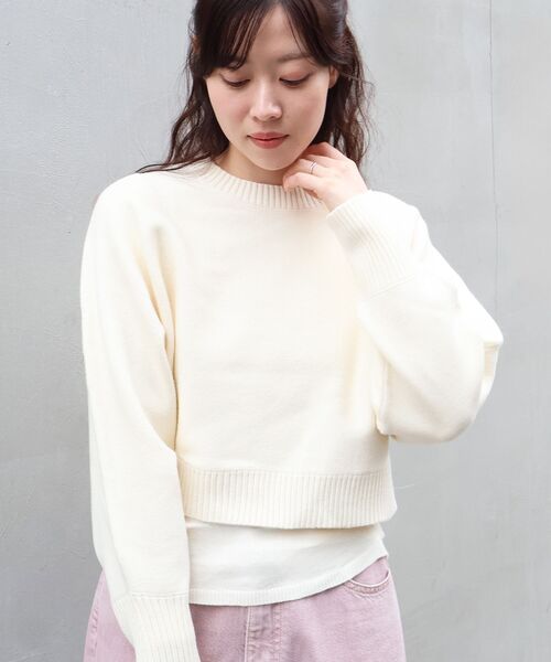 le.coeur blanc(ルクールブラン)の「3WAYレイヤードクルーニット(ニット/セーター・レディース・グレイッシュベージュ/ダークブラウン/キャメル/ネイビー/オフホワイト・38)」の2枚目の写真