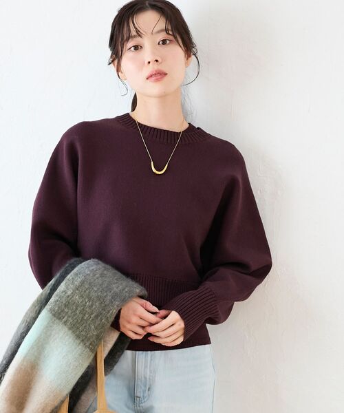 le.coeur blanc(ルクールブラン)の「3WAYレイヤードクルーニット(ニット/セーター・レディース・グレイッシュベージュ/ダークブラウン/キャメル/ネイビー/オフホワイト・38)」の9枚目の写真