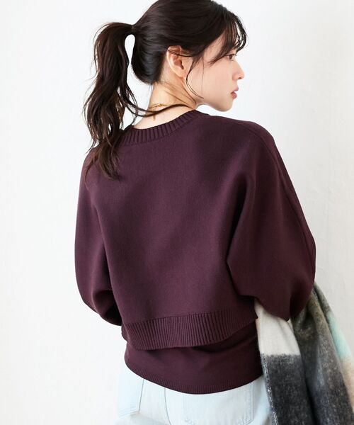 le.coeur blanc(ルクールブラン)の「3WAYレイヤードクルーニット(ニット/セーター・レディース・グレイッシュベージュ/ダークブラウン/キャメル/ネイビー/オフホワイト・38)」の10枚目の写真