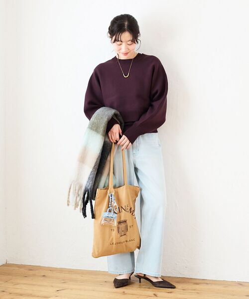 le.coeur blanc(ルクールブラン)の「3WAYレイヤードクルーニット(ニット/セーター・レディース・グレイッシュベージュ/ダークブラウン/キャメル/ネイビー/オフホワイト・38)」の16枚目の写真