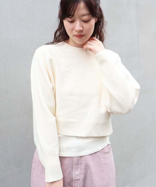 le.coeur blanc(ルクールブラン)の「3WAYレイヤードクルーニット(ニット/セーター・レディース・グレイッシュベージュ/ダークブラウン/キャメル/ネイビー/オフホワイト・38)」の22枚目の写真