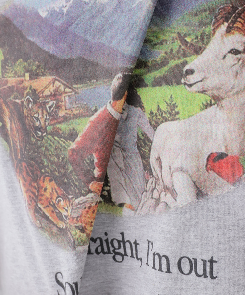 Carne Bollente(カルネボレンテ)の「【Carne Bollente/カルネボレンテ】Sounds Straight, I'm Out(Tシャツ/カットソー・レディース・チャコールグレー・MEDIUM/SMALL)」の12枚目の写真