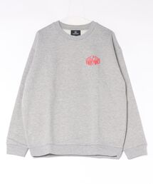 VOLCOM メンズ SOLARMAX RAGLAN CREW トレーナー 【2026年秋冬モデル】