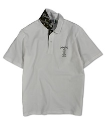 DS World Logo POLO　ポロ