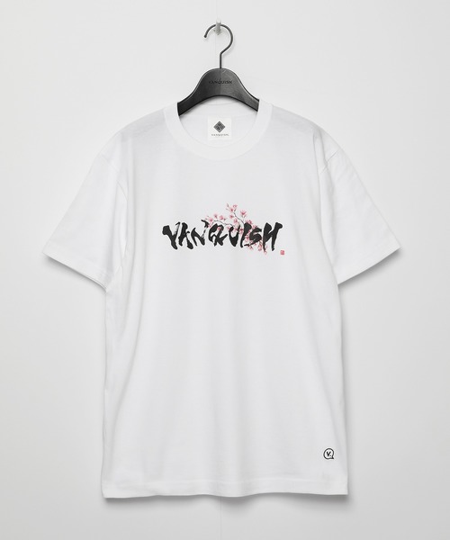 Vanquished essay 06 picture