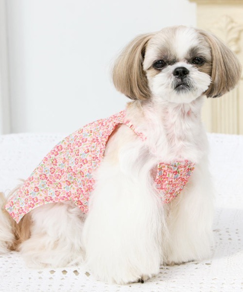 セール価格 公式 犬と生活 いぬとせいかつ サマーワンピフラワー 犬服 ドッグウェア 期間限定 30 Off Haisan24h Com Vn