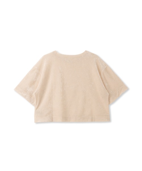Droite lautreamont(ドロワットロートレアモン)の「シアーカームメッシュプルオーバー≪手洗い可能≫(Tシャツ/カットソー・レディース・ピンク/ライトグレー/オフホワイト・M)」の22枚目の写真