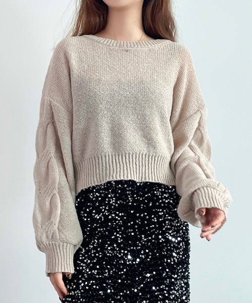 SAISON DE PAPILLON(セゾンドパピヨン)の「天竺裏編みショート丈ニット(ニット/セーター・レディース・ベージュ/アイボリー/ブラック・M)」の18枚目の写真