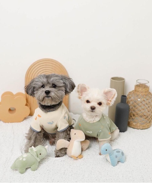 moncheri(モンシェリ)の「恐竜の仲間達おもちゃSET【3個セット・鳴き笛&カシャカシャ生地入り】(ペット用おもちゃ・レディース・A・FREE)」の2枚目の写真