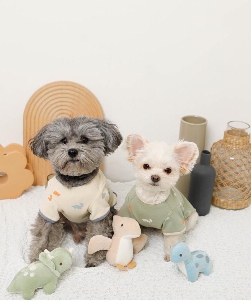 moncheri(モンシェリ)の「恐竜の仲間達おもちゃSET【3個セット・鳴き笛&カシャカシャ生地入り】(ペット用おもちゃ・レディース・A・FREE)」の3枚目の写真