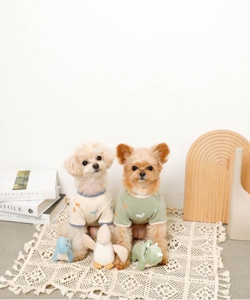 moncheri(モンシェリ)の「恐竜の仲間達おもちゃSET【3個セット・鳴き笛&カシャカシャ生地入り】(ペット用おもちゃ・レディース・A・FREE)」の6枚目の写真