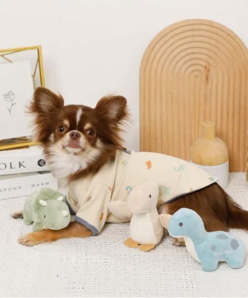 moncheri(モンシェリ)の「恐竜の仲間達おもちゃSET【3個セット・鳴き笛&カシャカシャ生地入り】(ペット用おもちゃ・レディース・A・FREE)」の16枚目の写真