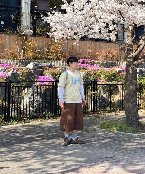 SIGNATURE（シグネチャ）の「サマーコットンDリングバミューダパンツ[ブラウン]（その他パンツ・レディース・その他・SMALL/MEDIUM/LARGE/X-LARGE）」の6枚目の写真
