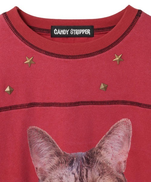 Candy Stripper（キャンディストリッパー）の「ANYTHING CAT PIGMENT トップス（Tシャツ/カットソー・レディース・チャコール/ブラウン/レッド・FREE）」の19枚目の写真