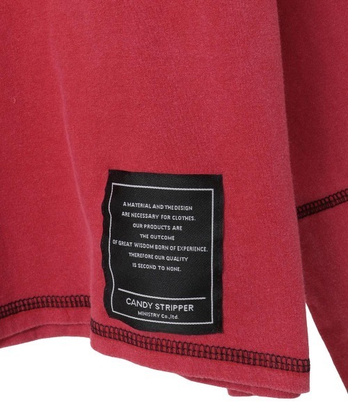 Candy Stripper（キャンディストリッパー）の「ANYTHING CAT PIGMENT トップス（Tシャツ/カットソー・レディース・チャコール/ブラウン/レッド・FREE）」の22枚目の写真