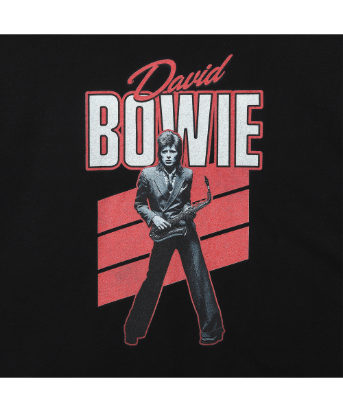 Bravado(ブラヴァド)の「DB RED SAX (BRENT1993)(Tシャツ/カットソー・メンズ・その他・L/M/XL/XXL)」の2枚目の写真
