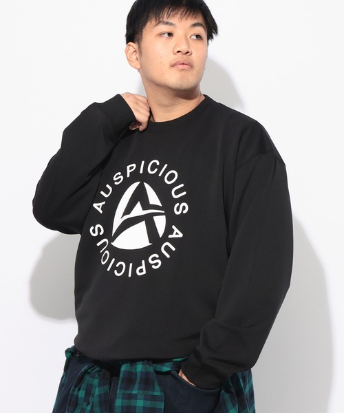 B&T CLUB(ビーティークラブ)の「トレーナー 長袖 メンズ 大きいサイズ ダンボールニット プリント クルーネック B&T CLUB (ビーアンドティークラブ)(スウェット・メンズ・B/C/D/E/F/A・X1(3L~4L)/X2(4L~5L)/X3(6L~7L))」の6枚目の写真