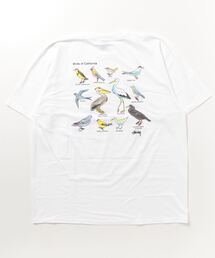STUSSY（ステューシー）の「stussy CALIFORNIA BIRDS TEE（T