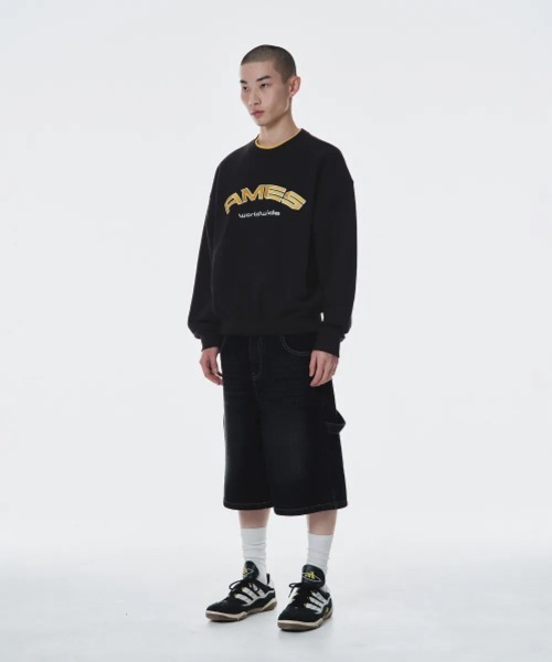 AMESWORLDWIDE(アメスワールドワイド)の「A'GEM/9 × .kom 『AMESWORLDWIDE/アメスワールドワイド』LAYERED NECK SWEATSHIRT /レイヤードネックスウェット(スウェット・レディース・グレー/ブルー/ブラック/ピンク・S/L/M)」の11枚目の写真