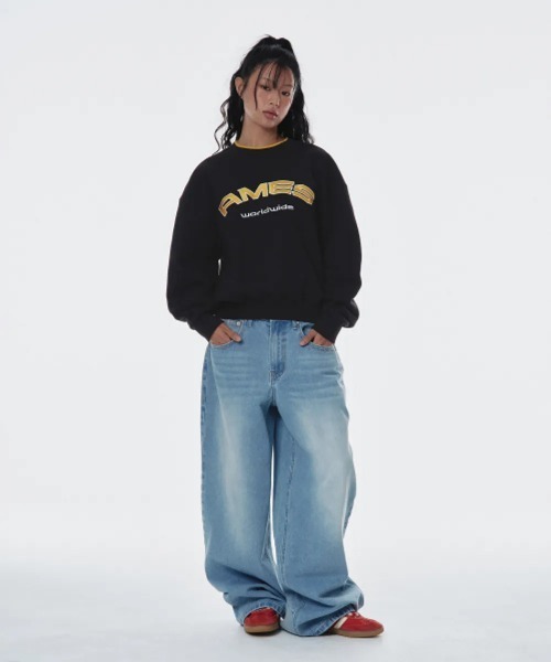 AMESWORLDWIDE(アメスワールドワイド)の「A'GEM/9 × .kom 『AMESWORLDWIDE/アメスワールドワイド』LAYERED NECK SWEATSHIRT /レイヤードネックスウェット(スウェット・レディース・グレー/ブルー/ブラック/ピンク・S/L/M)」の12枚目の写真